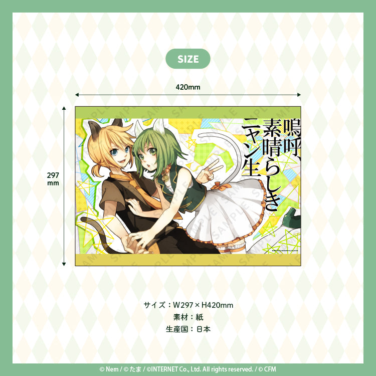 嗚呼、素晴らしきニャン生 A3ポスター/Nem&たま