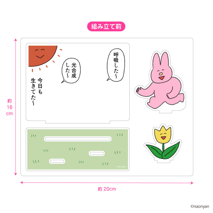 【通常販売】アクリルスタンド/ なおにゃん