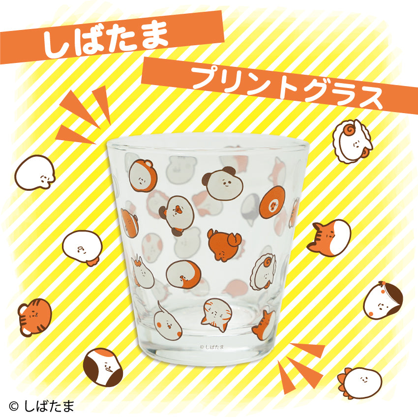 しばたま プリントグラス / しばたま